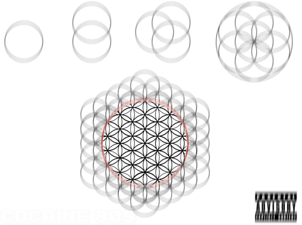 The Flower of Life (1)