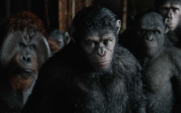 Dawn of the Planet of the Apes